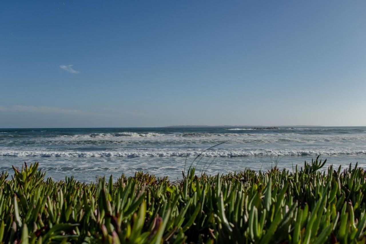 Blaauw Village Guest House Bloubergstrand Eksteriør bilde